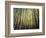 California, Sierra Nevada, Inyo Nf, Autumn Colors of Aspen Trees-Christopher Talbot Frank-Framed Photographic Print