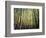 California, Sierra Nevada, Inyo Nf, Autumn Colors of Aspen Trees-Christopher Talbot Frank-Framed Photographic Print