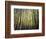 California, Sierra Nevada, Inyo Nf, Autumn Colors of Aspen Trees-Christopher Talbot Frank-Framed Photographic Print