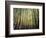 California, Sierra Nevada, Inyo Nf, Autumn Colors of Aspen Trees-Christopher Talbot Frank-Framed Photographic Print