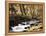 California, Sierra Nevada, Inyo Nf, Cottonwood Trees Along Mcgee Creek-Christopher Talbot Frank-Framed Premier Image Canvas