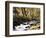 California, Sierra Nevada, Inyo Nf, Cottonwood Trees Along Mcgee Creek-Christopher Talbot Frank-Framed Photographic Print