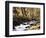 California, Sierra Nevada, Inyo Nf, Cottonwood Trees Along Mcgee Creek-Christopher Talbot Frank-Framed Photographic Print