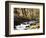 California, Sierra Nevada, Inyo Nf, Cottonwood Trees Along Mcgee Creek-Christopher Talbot Frank-Framed Photographic Print