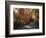 California, Sierra Nevada, Inyo Nf, Dirt Road, Fall Colors of Aspens-Christopher Talbot Frank-Framed Photographic Print