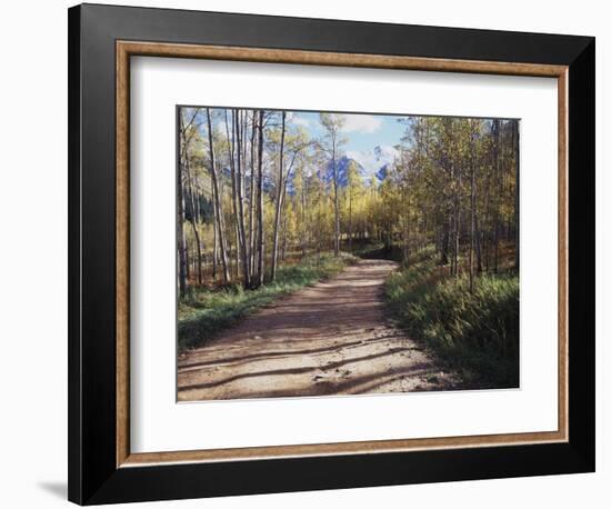 California, Sierra Nevada, Inyo Nf, Dirt Road, Fall Colors of Aspens-Christopher Talbot Frank-Framed Photographic Print