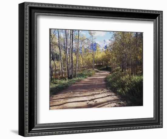 California, Sierra Nevada, Inyo Nf, Dirt Road, Fall Colors of Aspens-Christopher Talbot Frank-Framed Photographic Print