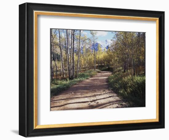 California, Sierra Nevada, Inyo Nf, Dirt Road, Fall Colors of Aspens-Christopher Talbot Frank-Framed Photographic Print