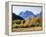 California, Sierra Nevada, Inyo Nf, Fall Colors of Aspen Trees-Christopher Talbot Frank-Framed Premier Image Canvas