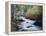 California, Sierra Nevada, Inyo Nf, Lee Vining Creek Through Forest-Christopher Talbot Frank-Framed Premier Image Canvas
