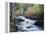 California, Sierra Nevada, Inyo Nf, Lee Vining Creek Through Forest-Christopher Talbot Frank-Framed Premier Image Canvas