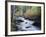 California, Sierra Nevada, Inyo Nf, Lee Vining Creek Through Forest-Christopher Talbot Frank-Framed Photographic Print