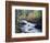 California, Sierra Nevada, Inyo Nf, Lee Vining Creek Through Forest-Christopher Talbot Frank-Framed Photographic Print