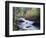 California, Sierra Nevada, Inyo Nf, Lee Vining Creek Through Forest-Christopher Talbot Frank-Framed Photographic Print