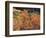 California, Sierra Nevada, Inyo Nf, Rred Fall Colors of Aspens-Christopher Talbot Frank-Framed Photographic Print