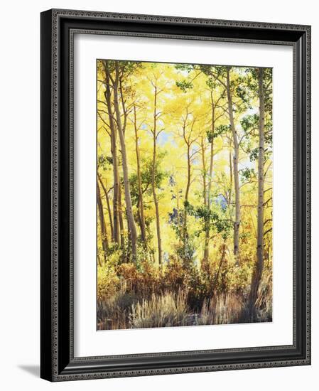 California, Sierra Nevada, Inyo Nf, Suns Rays Through Autumn Aspens-Christopher Talbot Frank-Framed Photographic Print