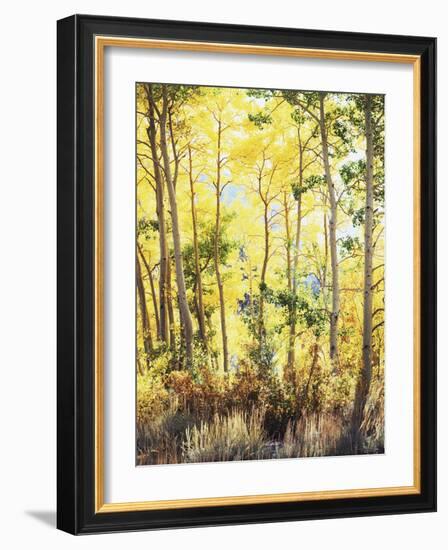 California, Sierra Nevada, Inyo Nf, Suns Rays Through Autumn Aspens-Christopher Talbot Frank-Framed Photographic Print