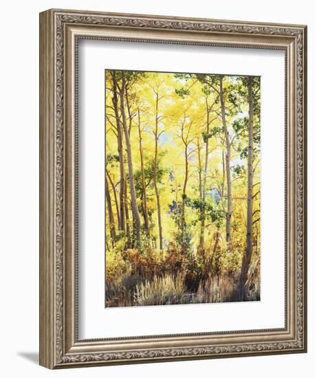 California, Sierra Nevada, Inyo Nf, Suns Rays Through Autumn Aspens-Christopher Talbot Frank-Framed Photographic Print