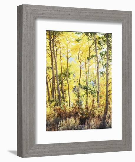 California, Sierra Nevada, Inyo Nf, Suns Rays Through Autumn Aspens-Christopher Talbot Frank-Framed Photographic Print