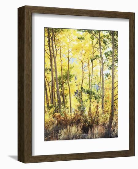 California, Sierra Nevada, Inyo Nf, Suns Rays Through Autumn Aspens-Christopher Talbot Frank-Framed Photographic Print