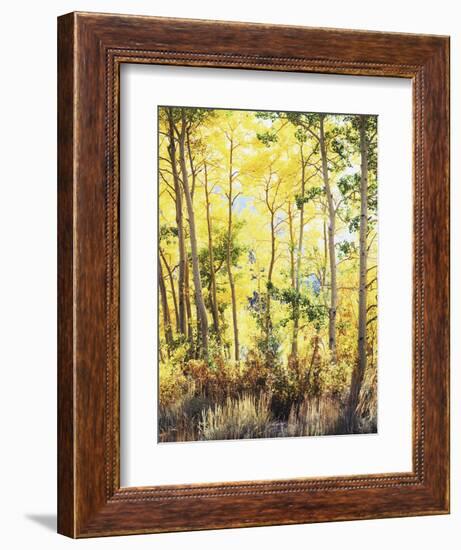 California, Sierra Nevada, Inyo Nf, Suns Rays Through Autumn Aspens-Christopher Talbot Frank-Framed Photographic Print