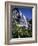 California, Sierra Nevada, Inyo Nf, Wildflowers at Lundy Falls-Christopher Talbot Frank-Framed Photographic Print