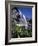 California, Sierra Nevada, Inyo Nf, Wildflowers at Lundy Falls-Christopher Talbot Frank-Framed Photographic Print