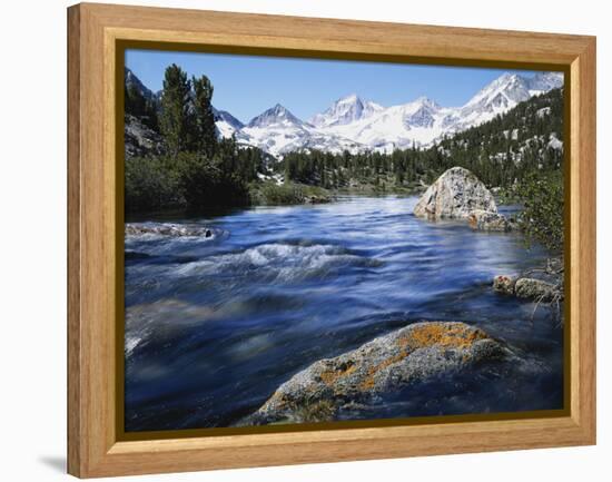 California, Sierra Nevada, Lichen Covered Rock, Rock Creek, Sierra Nf-Christopher Talbot Frank-Framed Premier Image Canvas