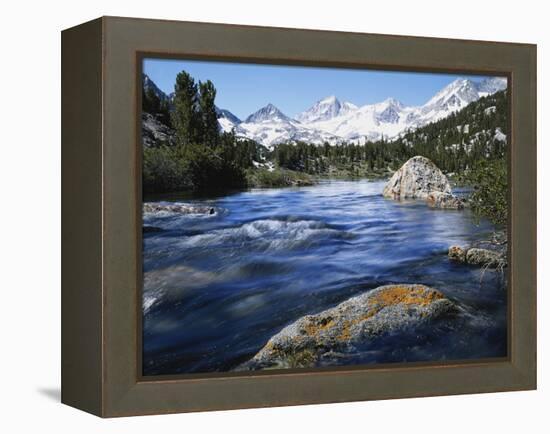 California, Sierra Nevada, Lichen Covered Rock, Rock Creek, Sierra Nf-Christopher Talbot Frank-Framed Premier Image Canvas