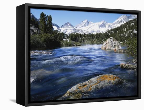 California, Sierra Nevada, Lichen Covered Rock, Rock Creek, Sierra Nf-Christopher Talbot Frank-Framed Premier Image Canvas