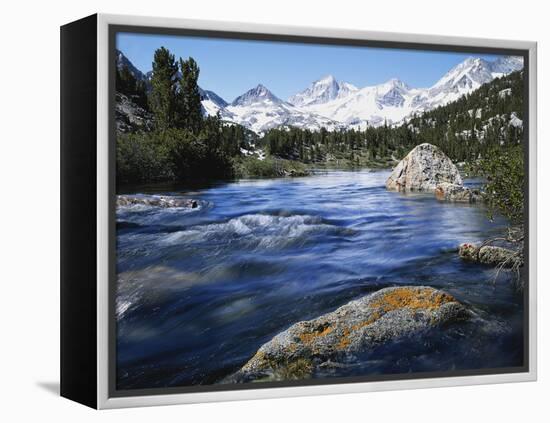 California, Sierra Nevada, Lichen Covered Rock, Rock Creek, Sierra Nf-Christopher Talbot Frank-Framed Premier Image Canvas