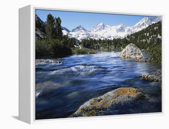 California, Sierra Nevada, Lichen Covered Rock, Rock Creek, Sierra Nf-Christopher Talbot Frank-Framed Premier Image Canvas