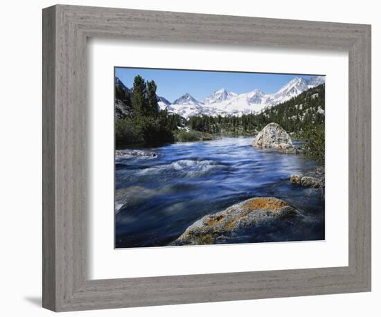 California, Sierra Nevada, Lichen Covered Rock, Rock Creek, Sierra Nf-Christopher Talbot Frank-Framed Photographic Print