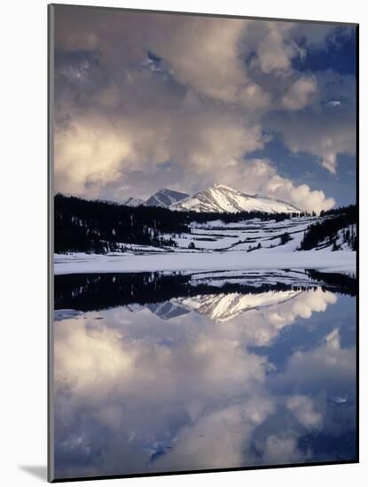 California, Sierra Nevada, Mammoth Peak Reflecting in a Frozen Lake-Christopher Talbot Frank-Mounted Photographic Print