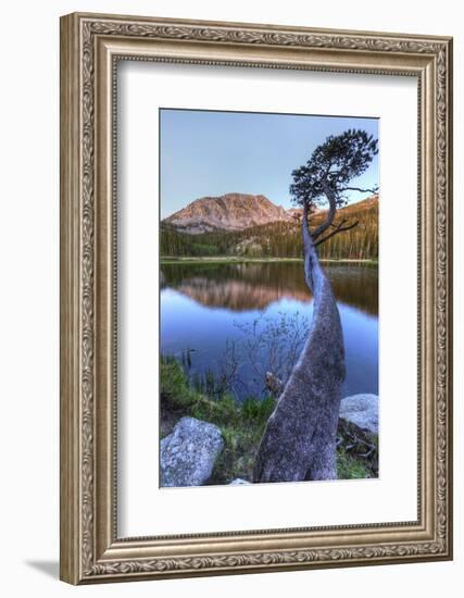 California, Sierra Nevada Mountains. Calm Reflections in Grass Lake-Dennis Flaherty-Framed Photographic Print