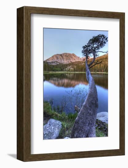 California, Sierra Nevada Mountains. Calm Reflections in Grass Lake-Dennis Flaherty-Framed Photographic Print