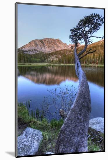 California, Sierra Nevada Mountains. Calm Reflections in Grass Lake-Dennis Flaherty-Mounted Photographic Print