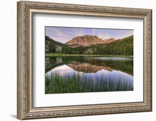 California, Sierra Nevada Mountains. Calm Reflections in Grass Lake-Dennis Flaherty-Framed Photographic Print