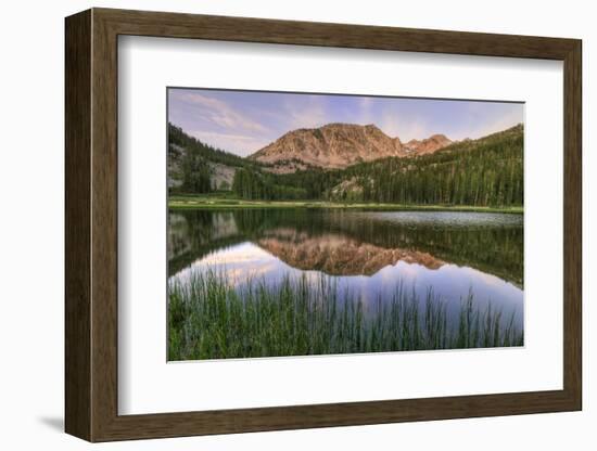 California, Sierra Nevada Mountains. Calm Reflections in Grass Lake-Dennis Flaherty-Framed Photographic Print