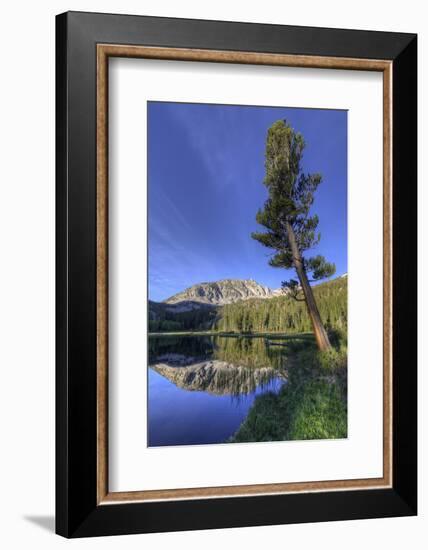 California, Sierra Nevada Mountains. Calm Reflections in Grass Lake-Dennis Flaherty-Framed Photographic Print