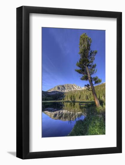 California, Sierra Nevada Mountains. Calm Reflections in Grass Lake-Dennis Flaherty-Framed Photographic Print