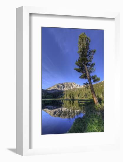 California, Sierra Nevada Mountains. Calm Reflections in Grass Lake-Dennis Flaherty-Framed Photographic Print