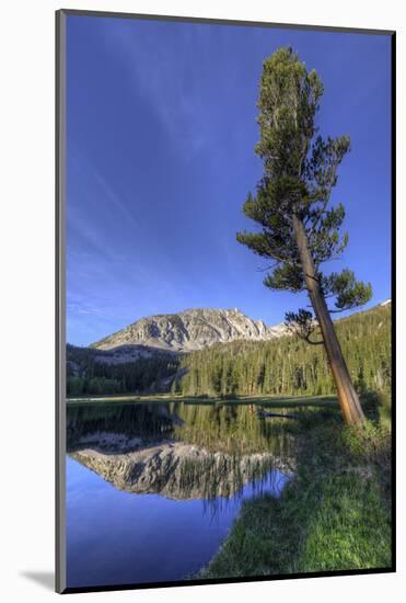 California, Sierra Nevada Mountains. Calm Reflections in Grass Lake-Dennis Flaherty-Mounted Photographic Print