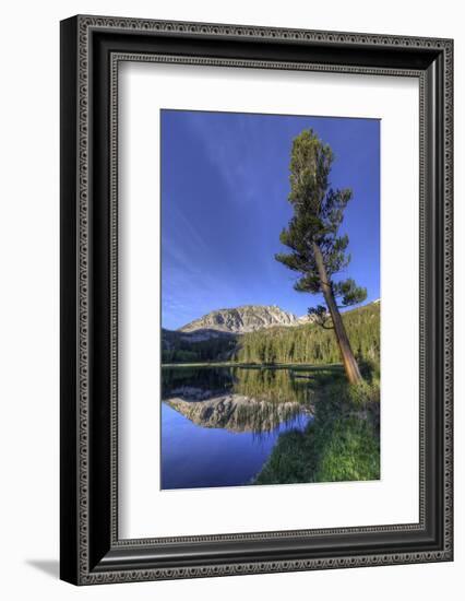 California, Sierra Nevada Mountains. Calm Reflections in Grass Lake-Dennis Flaherty-Framed Photographic Print