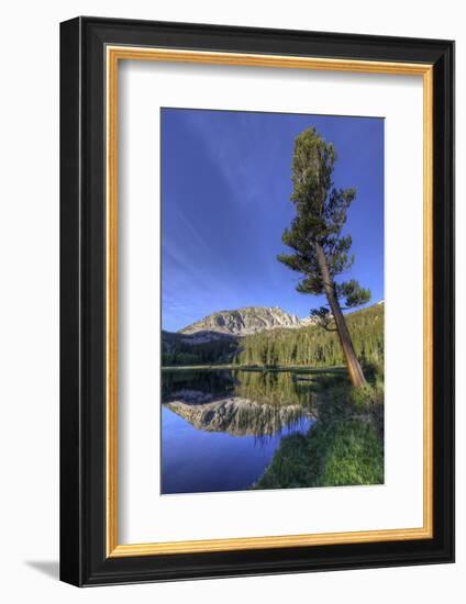 California, Sierra Nevada Mountains. Calm Reflections in Grass Lake-Dennis Flaherty-Framed Photographic Print