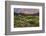 California, Sierra Nevada Mountains. Wildflowers Bloom in Valley-Jaynes Gallery-Framed Photographic Print