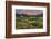 California, Sierra Nevada Mountains. Wildflowers Bloom in Valley-Jaynes Gallery-Framed Photographic Print