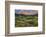 California, Sierra Nevada Mountains. Wildflowers Bloom in Valley-Jaynes Gallery-Framed Photographic Print