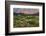 California, Sierra Nevada Mountains. Wildflowers Bloom in Valley-Jaynes Gallery-Framed Photographic Print