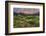 California, Sierra Nevada Mountains. Wildflowers Bloom in Valley-Jaynes Gallery-Framed Photographic Print